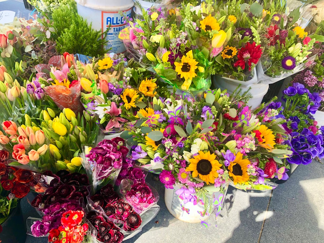 Где проходили съемки сериала Отпуск?